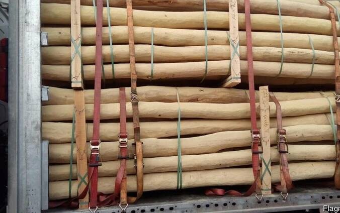 Акация ошкуренная диаметром от 5 до 15 см. Длина от 2 до 4 м