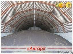 Где хранить зерно?