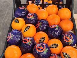 Апельсин Navelina