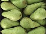 Best pears from Poland wholesale - photo 3