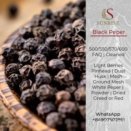 Black Pepper / White from Vietnam