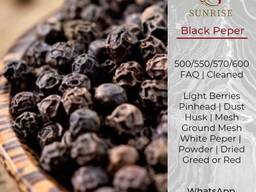 Black Pepper / White from Vietnam