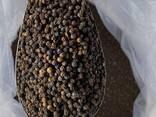 Black Pepper / White from Vietnam - photo 7