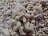 Cashew Nuts from Vietnam - photo 1