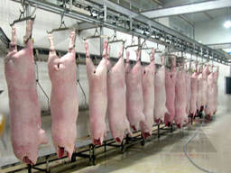 Cheap frozen meat halal pork mea/t frozen pork feet / meat pork