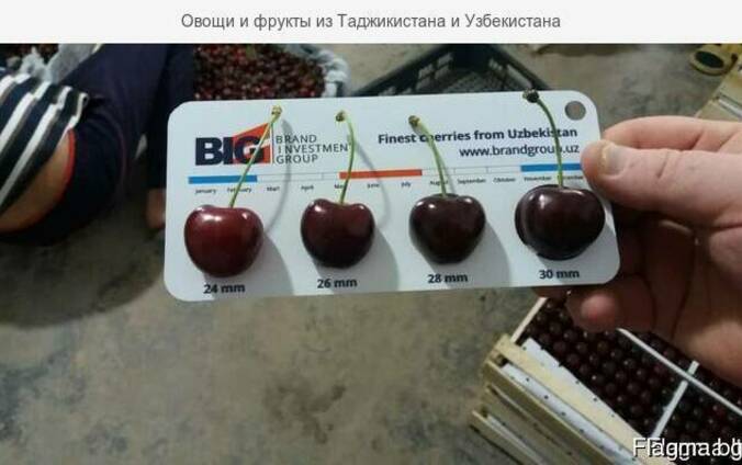 Cherry (air delivery) Черешня