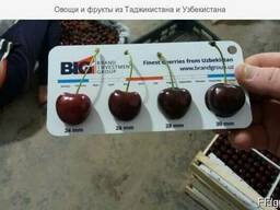Cherry (air delivery) Черешня