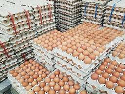 Chicken for sale