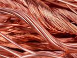 Copper Scrap /Copper Wire Scrap at cheap rates - photo 1