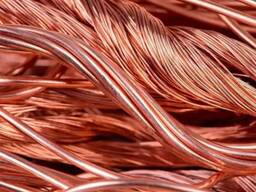 Copper Scrap /Copper Wire Scrap at cheap rates