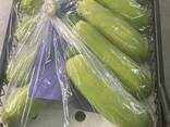 Цукини - photo 2
