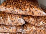 Dried Almond Nuts - photo 3