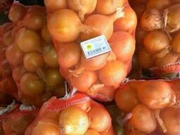 Экспорт сельхозпродукции из Узбекистана