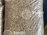 EN-Plus A1 wood pellets from direct producer - фото 1