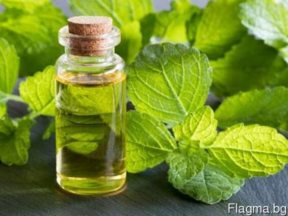 Етерично масло от Лавандула Lavandula и други