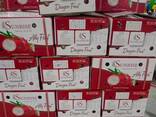 Fresh Dragon Fruit from Vietnam - photo 3