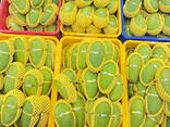 Fresh Mango from Vietnam - photo 1