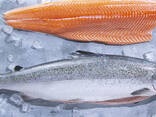 Premium Frozen Salmon Fillet / Chum Salmon / Salmon Fillet Shushi / Quality Whole Salmon - фото 3
