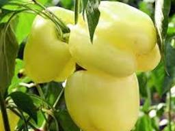 Фрукты и овощи сербскии