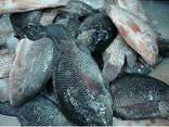 Good Quality Seafood Good Quality Frozen Tilapia Fish - фото 3