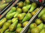 Груша из Польши - фото 2