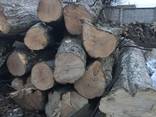 Holzkohle / Charcoal / Древесный уголь - фото 6