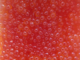 Икра Форели