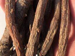 Корен от женско биле (Glycyrrhiza glabra)