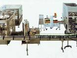 Линии и машины розлива и упаковки - фото 1