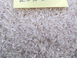 Long Grain Rice from Vietnam - фото 2