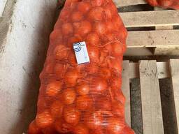 Лук (репчатый лук, урожай 2023) c документами и погрузкой