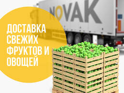 Международные автомобильные грузоперевозки Беларусь - Европа - Беларусь