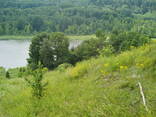 Няня для ребёнка - photo 1