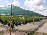 Оцинкованные каркасы для теплиц и парников. - фото 5