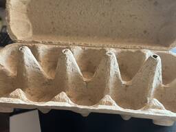 Оформен хартиен контейнер за яйца