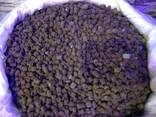 Organic fertilizers Chicken compost Good Yield - фото 2