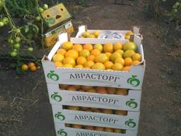 Овощи и фрукты оптом