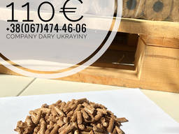 Pini Kay, Ruf, Nestro, Pellets