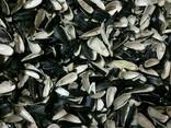 Пеллеты из лузги подсолнечной в гранулах 8 мм - фото 2