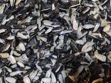 Пеллеты из лузги подсолнечной в гранулах 8 мм - фото 3