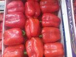 Перец KALIFORNIYA RED - photo 1