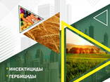 Пестициды на экспорт - фото 2