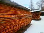 Пиломатериал -дуб- хвоя обризная. - фото 1