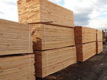 Pine and Oak - Lumber and Timber from Ukraine - photo 1