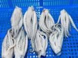 Предлагаем мороженные морепродукты в Болгарию от завода из Китая - фото 2