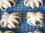 Предлагаем мороженные морепродукты в Болгарию от завода из Китая - photo 6