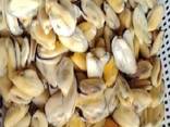 Предлагаем мороженные морепродукты в Болгарию от завода из Китая - photo 9