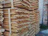Продам колья окорованные и оцилиндрованные - фото 1