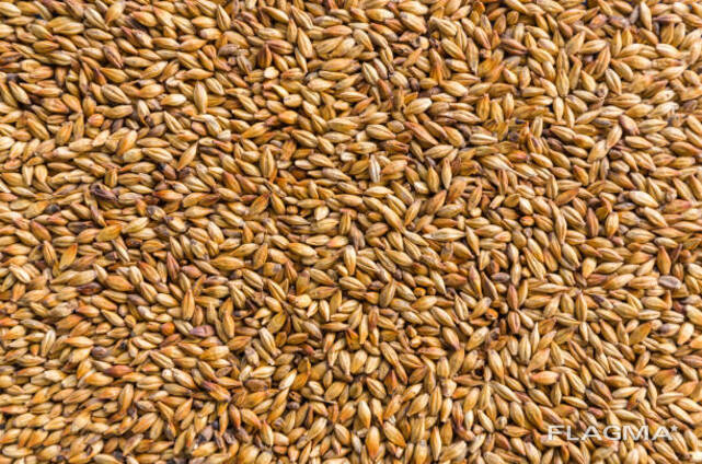 Продам пшеницу 3кл. с протеином 11,5%