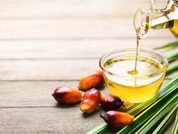 Refined Palm Oil - High Quality Wholesale Rate from Netherlands